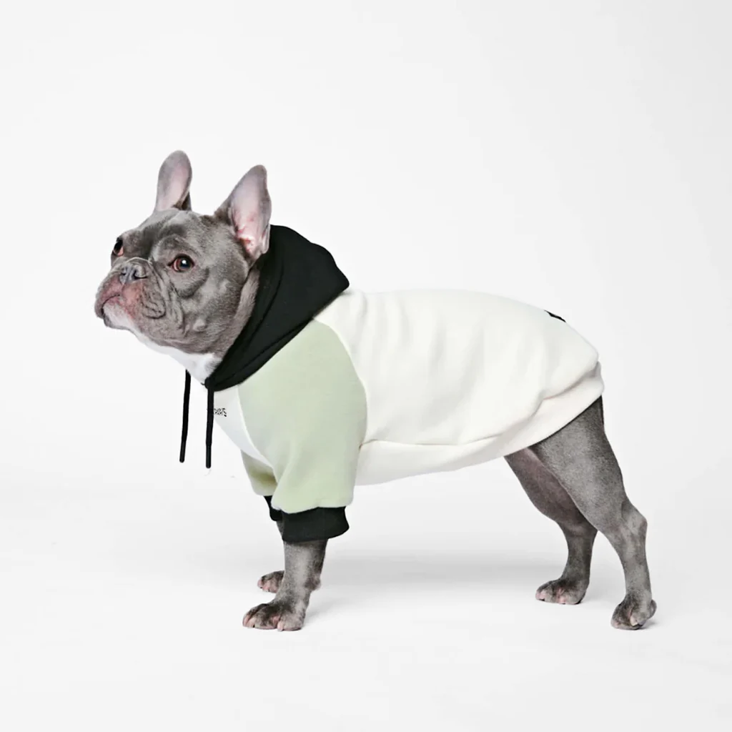 Olijfcrème hondenhoodie