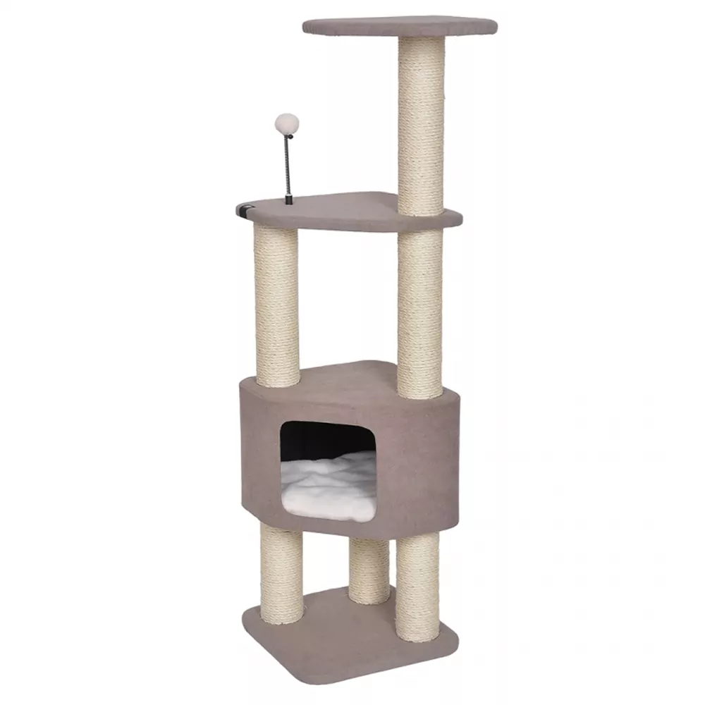 Krabpaal – Kobe Bruin