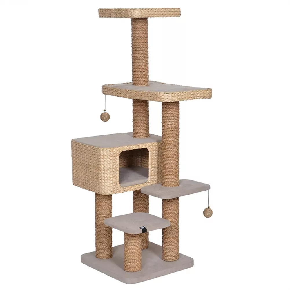 Krabpaal – Palawan