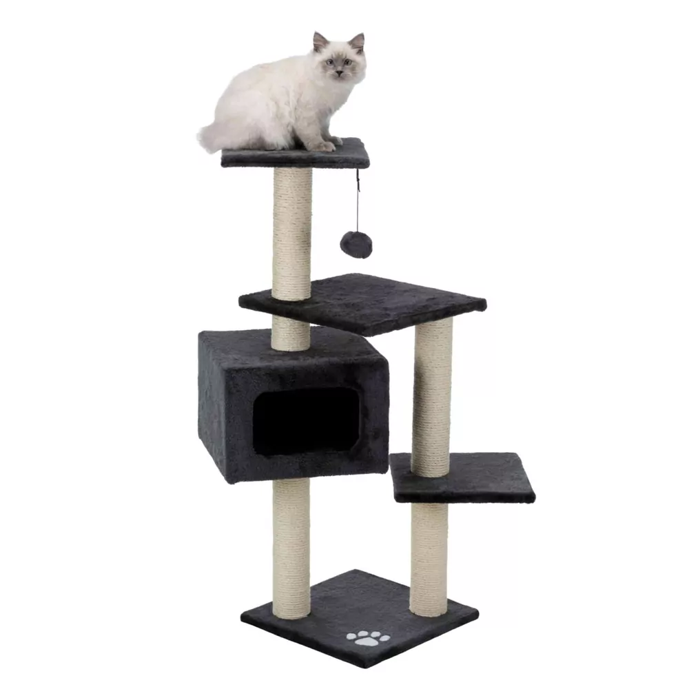 Krabpaal – Palamos