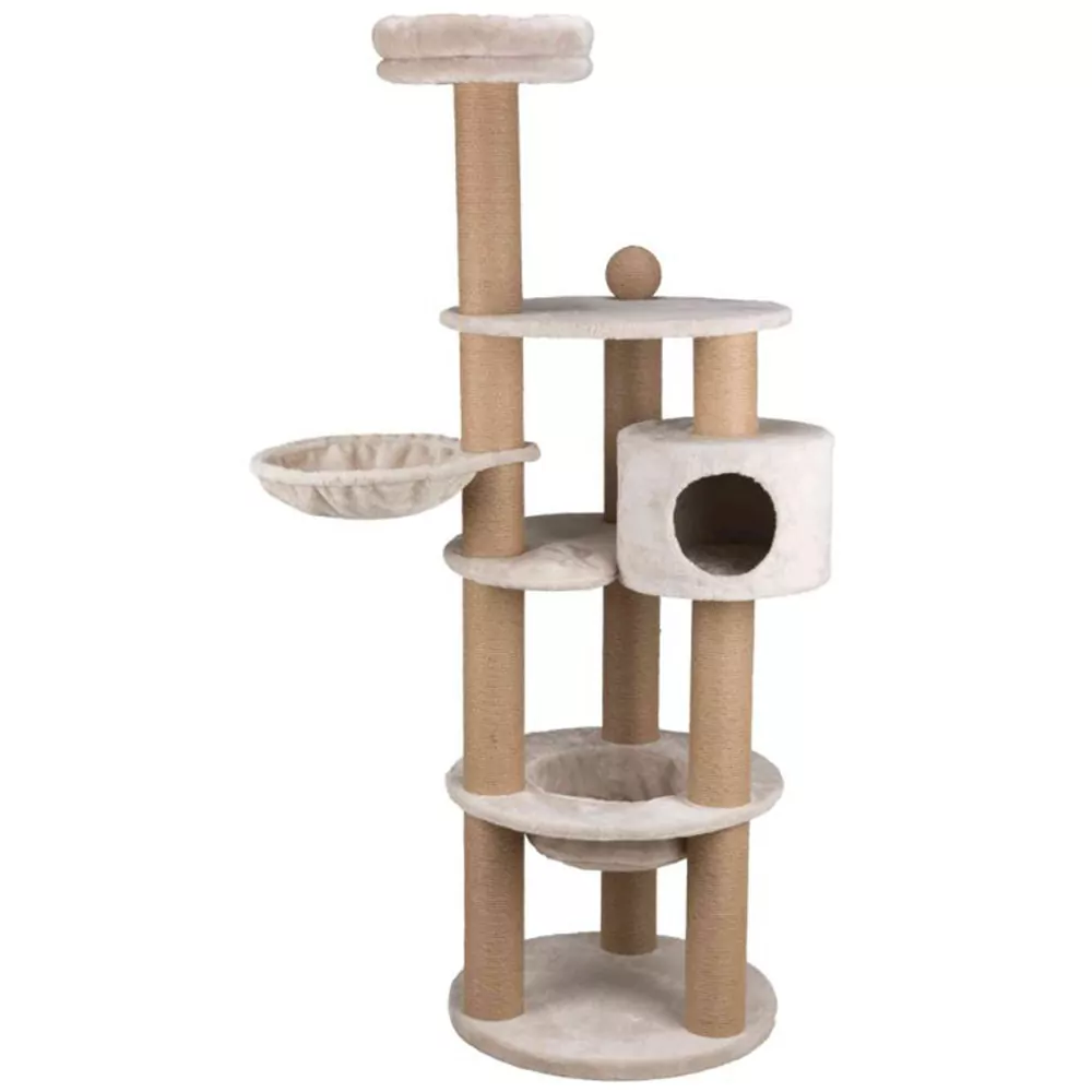 Krabpaal – Nigella