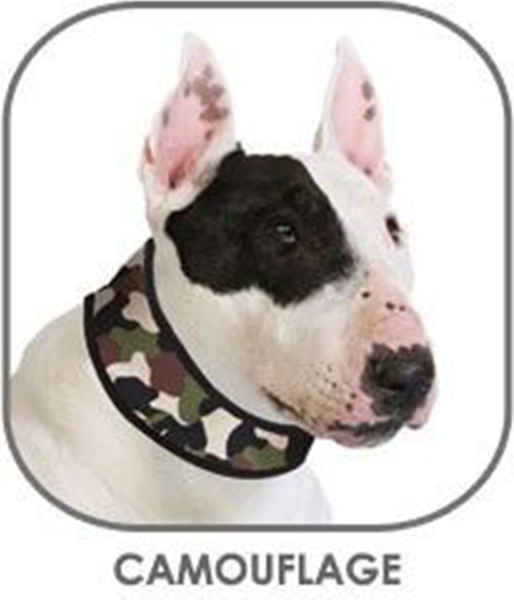 Aqua Coolkeeper Cooling Halsband 70 x 8,5 cm