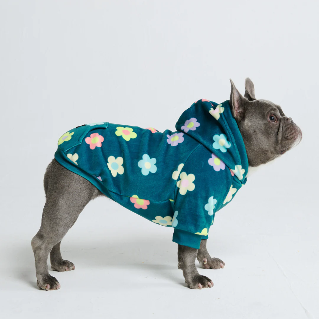 Daisy Honden-Hoodie – Groen