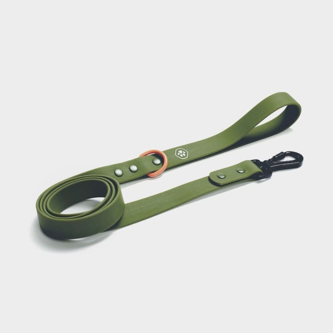 Waterproof PVC Dog Leash – Green