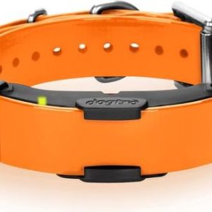 ARC 800 Dogtra Losse Trainings halsband Oranje