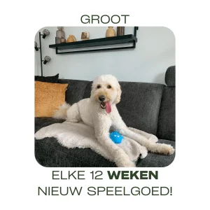 Abonnement Grote hond - 12 weken
