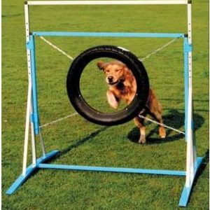 Agility Banden