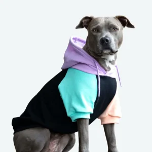 Hoodie voor honden - Color Block