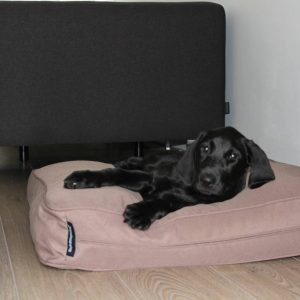 Dog’s Companion® Benchkussen 68 x 62 x 10 cm taupe