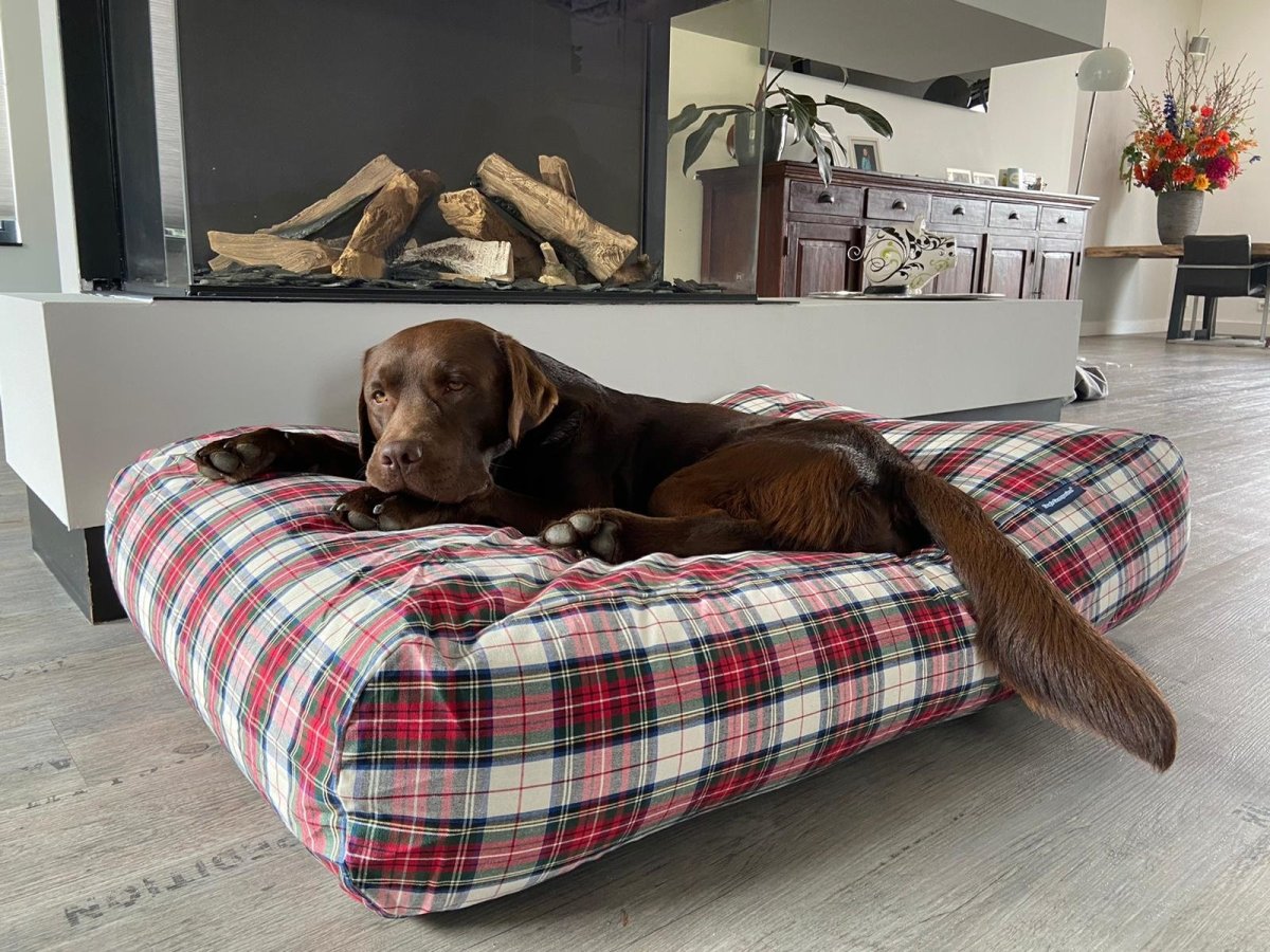 Dog’s Companion® Hondenbed dress stewart medium