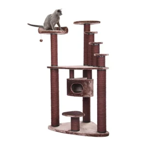 Krabpaal – Rocky Mountain – Bruin