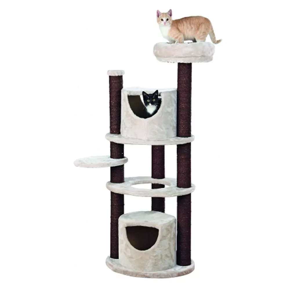 Krabpaal – Sofia Grijs