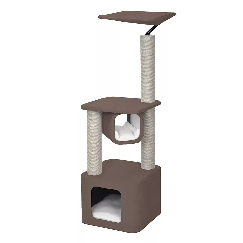 Krabpaal – Okinawa Bruin