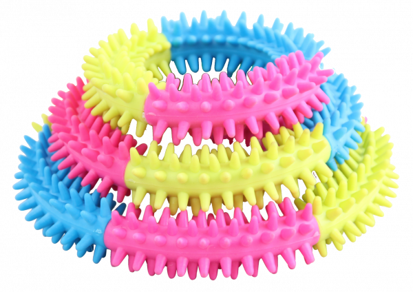 Rainbow World – Coronule S