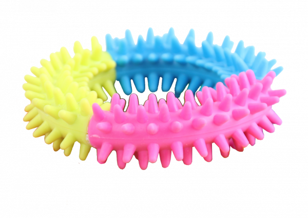 Rainbow World – Coronule L